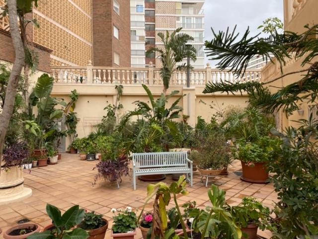Precioso Apartamento A Estrenar En Primera Linea De Playa Benidorm Ngoại thất bức ảnh